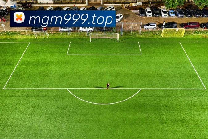 美狮美高梅平台生态图